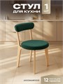 Стул для кухни со спинкой мягкий деревянный 3934533DC
