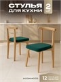Стулья для кухни 2шт со спинкой мягкие деревянные 3934686DC